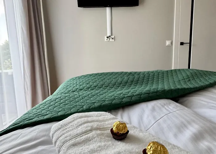 アパート Ida - Gorski Azyl カルパッチ